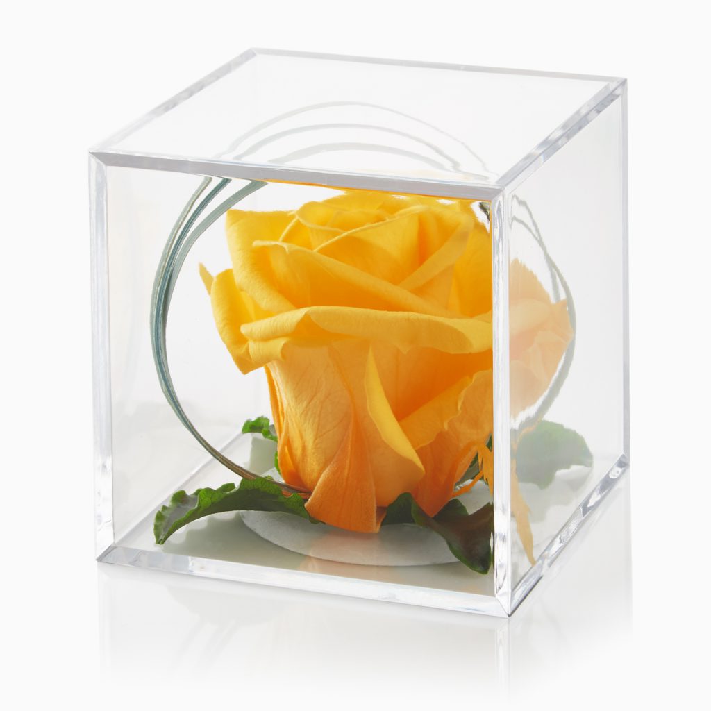 باکس گل رز جاودان زرد
